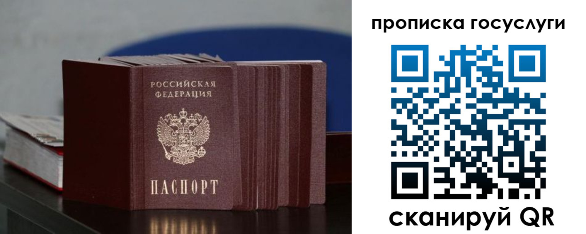 купить прописку в Ивантеевке
